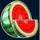 all ways fruits watermelon symbol icon