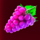 allways lucky pot grapes symbol icon