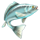 amazing catch cold rush power combo glowing fish symbol icon