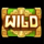 amazon kingdom wild symbol icon