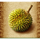 amazon queen spikeball symbol icon