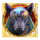 anubis 2 doublemax anubis symbol icon