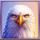 apex strike megaways eagle symbol icon