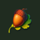 arcane woods acorn symbol icon