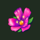 arcane woods flower2 symbol icon