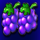 arctic coins running wins grapes symbol icon