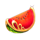 art of gold watermelon symbol icon