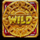 aztec adventure powerpoints wild symbol icon