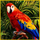 aztec glory buy bonus parrot symbol icon