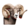 badlands ram symbol icon