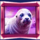 bear paw legend plus seal symbol icon