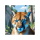 bear spirit bounty cougar symbol icon