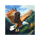 bear spirit bounty eagle symbol icon