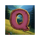 bear spirit bounty q symbol icon