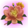 beary wild bee flower symbol icon