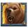 beasts of fire 3 icon