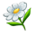 bee keeper daisy flower symbol icon