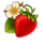 bee keeper strawberry symbol icon