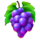 beer mania purple grapes symbol icon