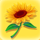 beez kneez sunflower symbol icon