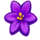 beez turn wild flower 2 symbol icon