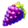 bellmania grapes symbol icon
