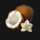 ben gunn robinson coconut symbol icon
