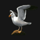 ben gunn robinson seagull symbol icon