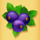 berry berry bonanza dark blueberry symbol icon