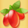 berry berry bonanza red symbol icon