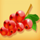 berry berry bonanza redgrapes symbol icon