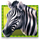 betsoft stampede 4 icon