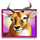 betsoft stampede 6 icon
