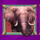 big 5 africa elephant symbol icon