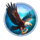 big catch 1000 nudge bonu buy eagle symbol icon