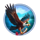 big catch bonanza christmas catch eagle symbol icon