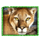 big cats jeopard symbol icon