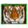 big cats tiger symbol icon