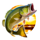 big fisherman fortune bass fish symbol icon