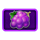 big fruit show grapes symbol icon