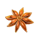 big hot flaming pots panda riches star symbol icon