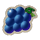 big max books unlimited grape symbol icon