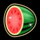 big max multi reel watermelon symbol icon