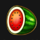big spin bonus watermelon symbol icon