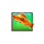 bigger bass bonanza gold fish symbol icon