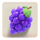 bill and coin grapes symbol icon