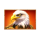 bison fortune coins eagle symbol icon