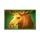 bison fortune coins moose symbol icon