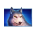 bison fortune coins wolf symbol icon