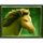 bison madness prizetower golden horse symbol icon